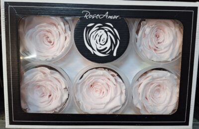 RoseAmor XL PIN-89