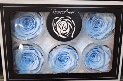 RoseAmor XL BLU-89