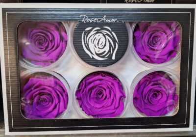 RoseAmor XL PUR-02