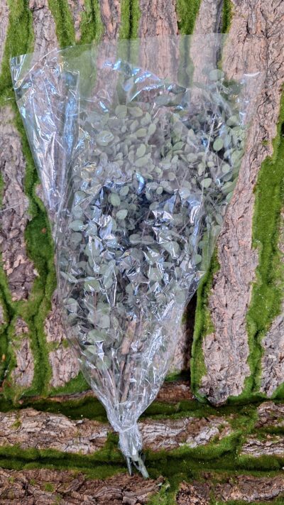 Eucalipt Gunny green – GUN 4103
