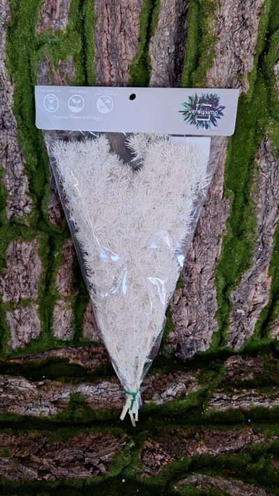 Ming fern – MIN 0003 – white