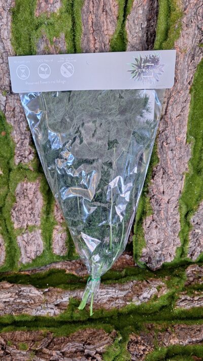 Ming fern -MIN 0103 – Green