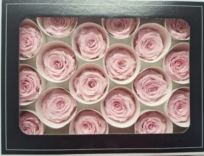 RoseAmor XS – PIN 04