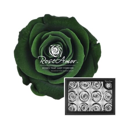 ROSEAMOR M GRE-02