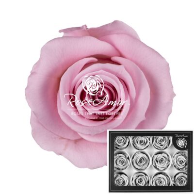 ROSEAMOR M PIN-04
