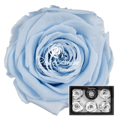 RoseAmor XL BLU-89