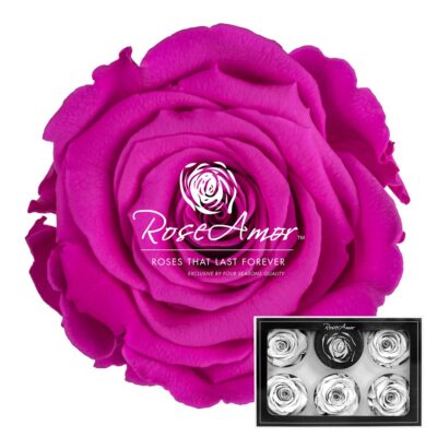 RoseAmor XL PIN-07