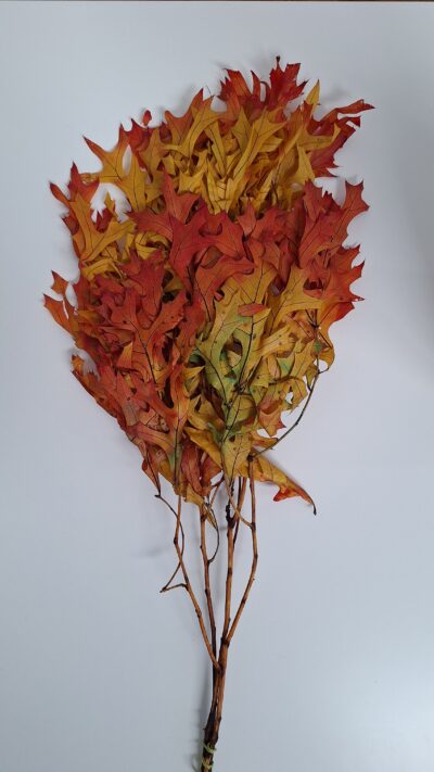 Frunze stejar – HARVEST W / GREEN