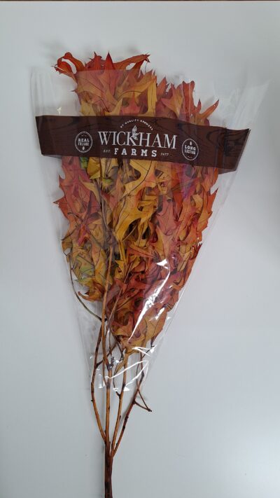 Frunze stejar – HARVEST W / GREEN