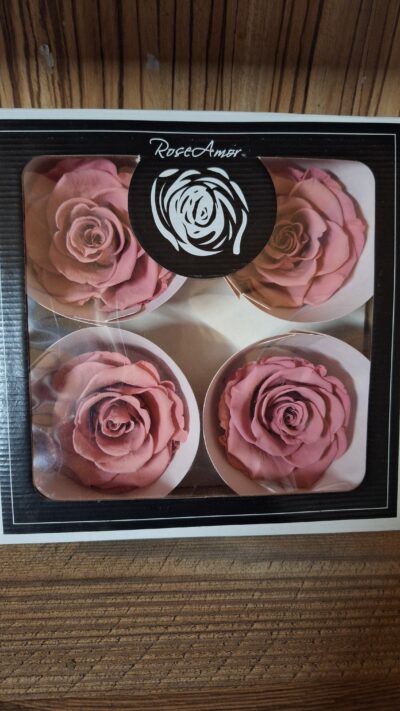 RoseAmor BELLA – VIO 02