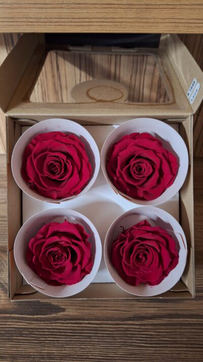 RoseAmor BELLA – PIN 05