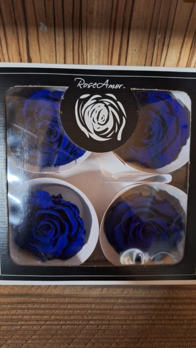 RoseAmor BELLA – BLU 03