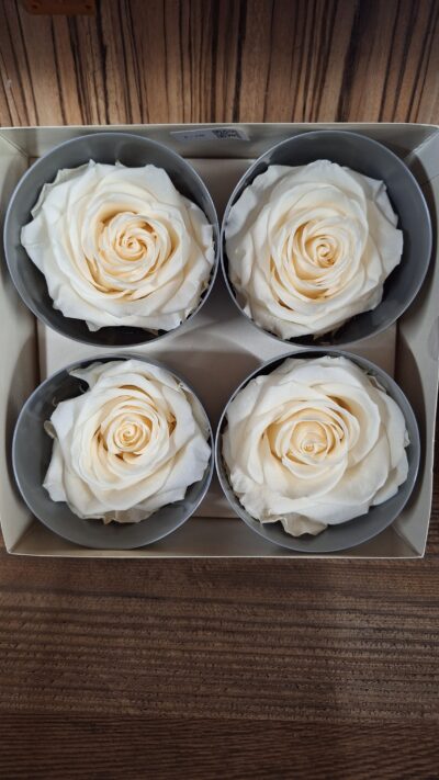 VERDISSIMO – PREMIUM ROSE CHAMPAGNE  RSG 2020