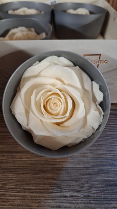 VERDISSIMO – PREMIUM ROSE CHAMPAGNE  RSG 2020