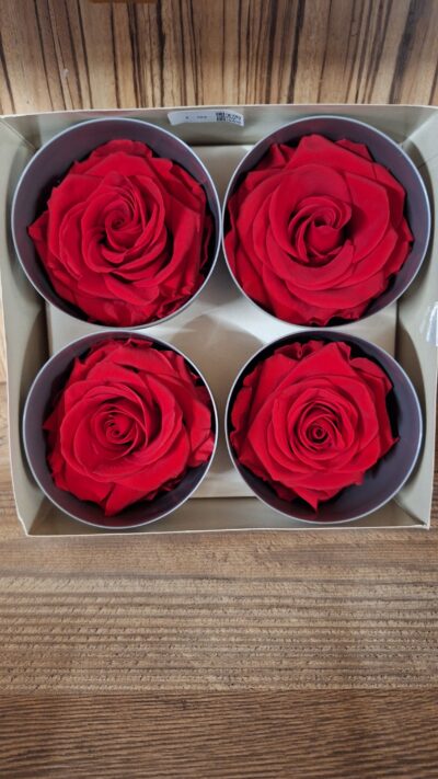 VERDISSIMO – PREMIUM ROSE RED RSG 2200