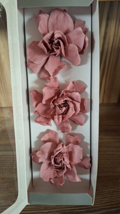 Gardenia – Verdissimo – Cherry vintage GAR 2480