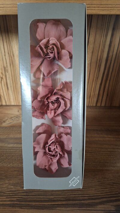 Gardenia – Verdissimo – Cherry vintage GAR 2480