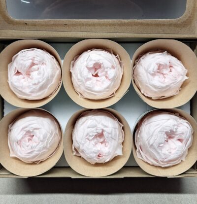 RoseAmor Niki XL Pin 89