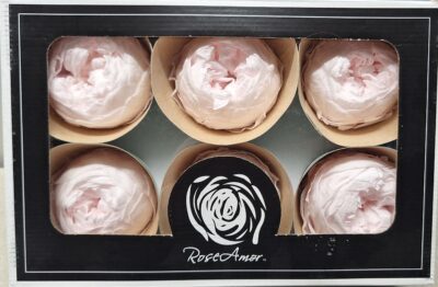 RoseAmor Niki XL Pin 89