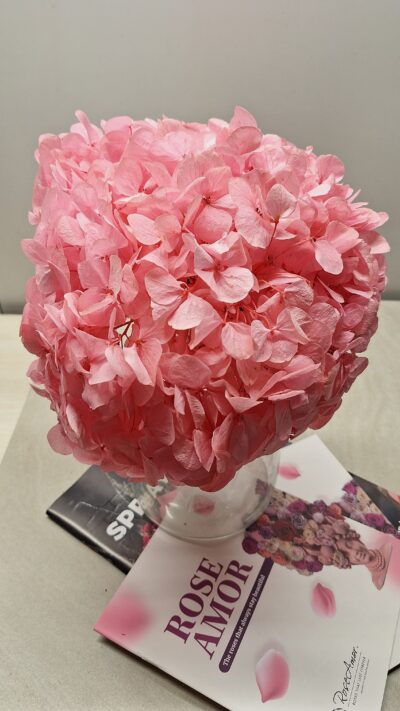 HYDRANGEA XL – PIN 06