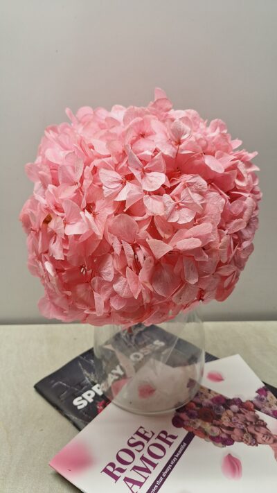 HYDRANGEA XL – PIN 06