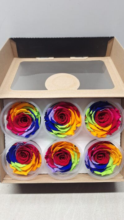 ROSEAMOR XL RED-02 RAINBOW