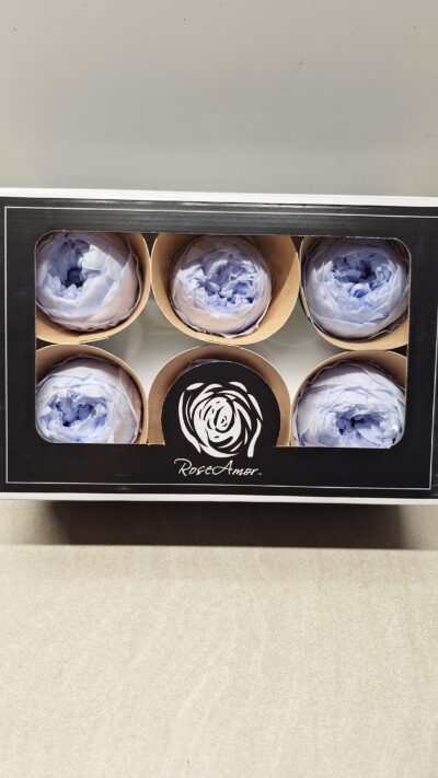 ROSEAMOR NIKI XL VIO-89