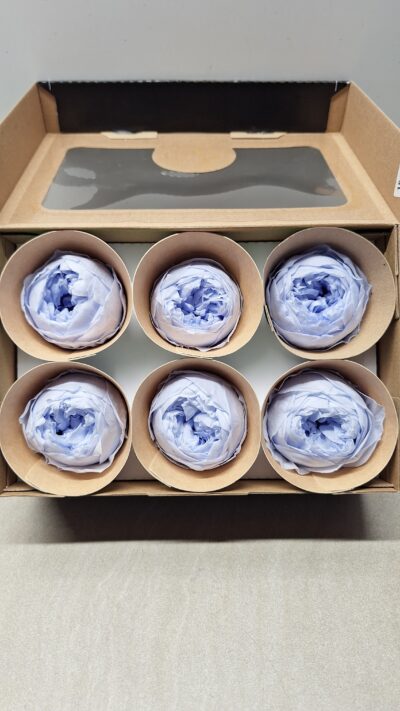 ROSEAMOR NIKI XL VIO-89