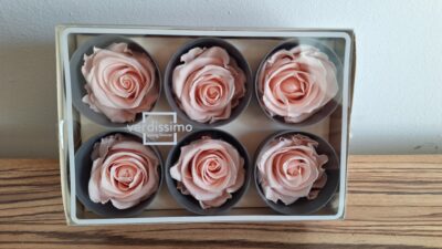 VERDISSIMO ROSE STANDARD – DUSTY PINK RST/SP00