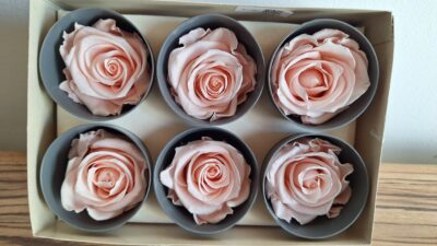 VERDISSIMO ROSE STANDARD – DUSTY PINK RST/SP00