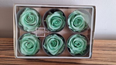 VERDISSIMO ROSE STANDARD – PASTEL MNT RST/SP03