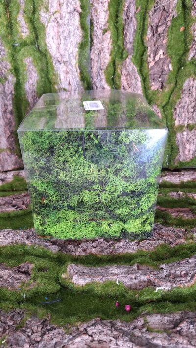MUSCHIO VERDE MAGIO PVC
