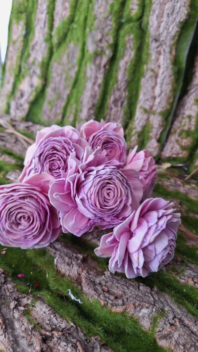 SOLA SHOE FLOWER FLIDER