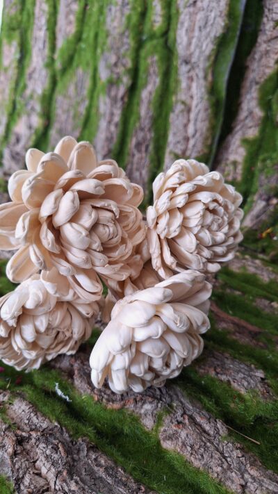 SOLA SHOE FLOWER BIANCO