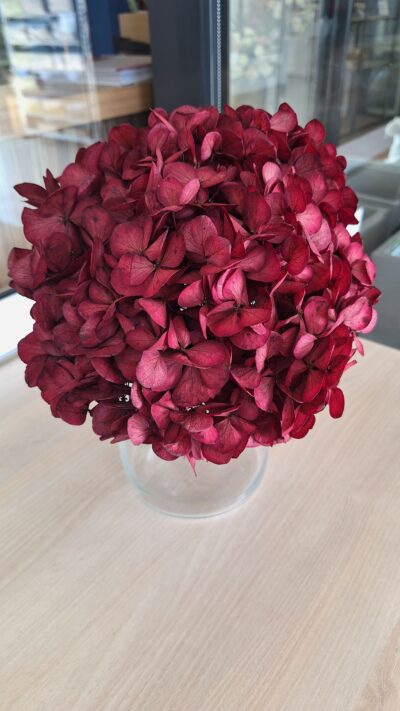 HYDRANGEA XL PIN-10