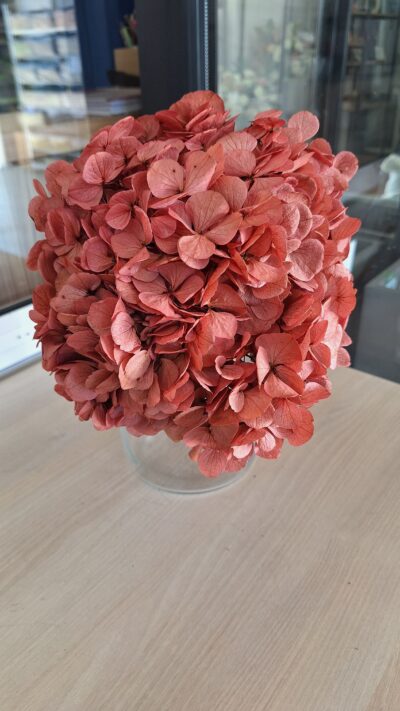 HYDRANGEA XL PIN-09