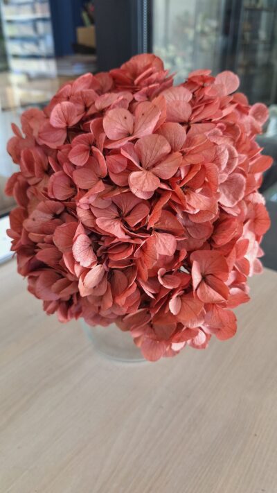HYDRANGEA XL PIN-09