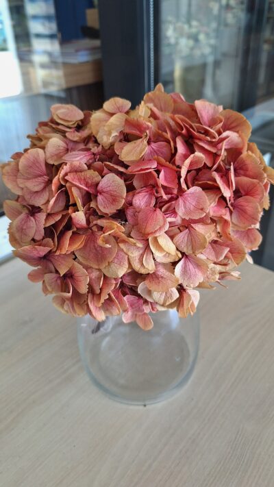 HYDRANGEA XL PIN-01